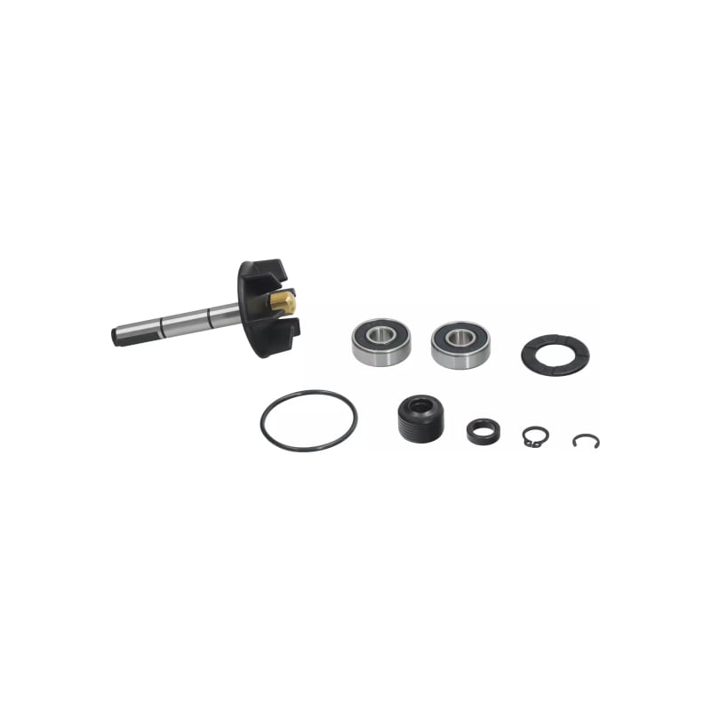 Zestaw naprawczy pompy wody Magneti Marelli Piaggio 50 2T