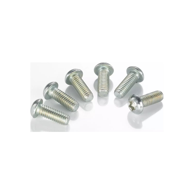 Śruba tarczy hamulcowej TRW Lucas MSW102-6 6 szt M6x1.0x20mm