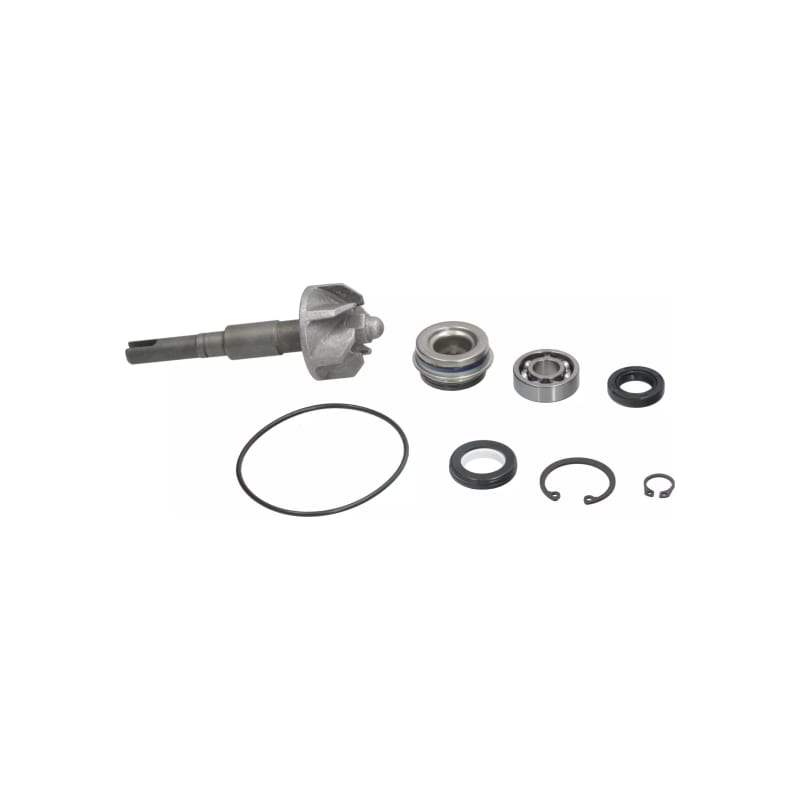 Zestaw naprawczy pompy wody Magneti Marelli Honda SH 125 150 01-08