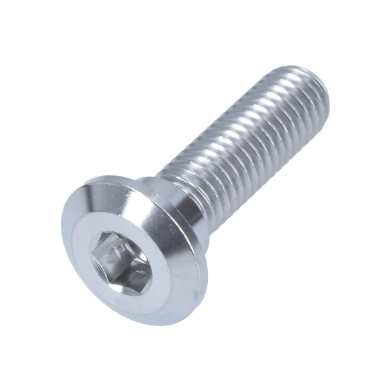 Śruba tarczy hamulcowej HLP M8x1.25x30mm tytan srebrny 1 szt.