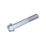Śruba zacisku HLP M10x1.25mm 60mm tytan srebrny