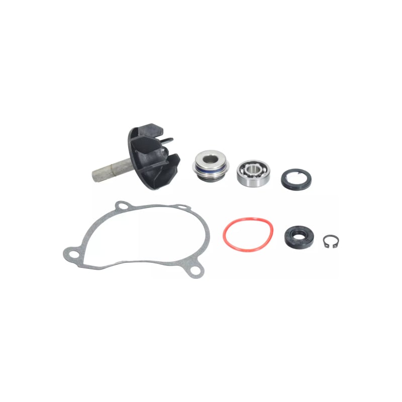 Zestaw naprawczy pompy wody Magneti Marelli Yamaha YZF R6 600 06-22