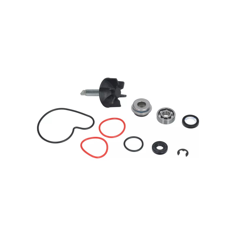 Zestaw naprawczy pompy wody Magneti Marelli Suzuki Burgman 400 99-06