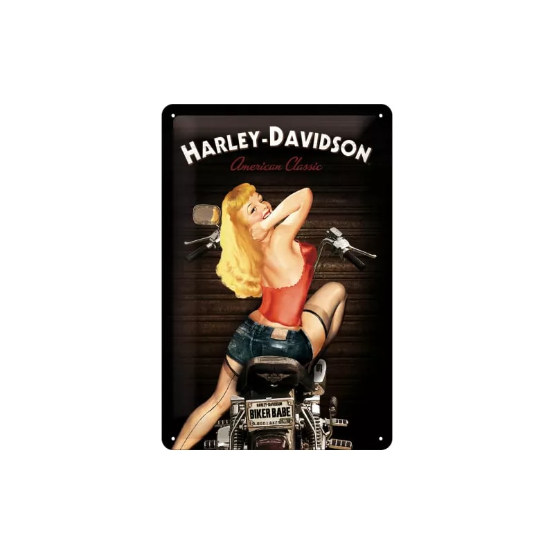 Plakat blaszany 20x30cm pasuje do Harley Davidson Babe