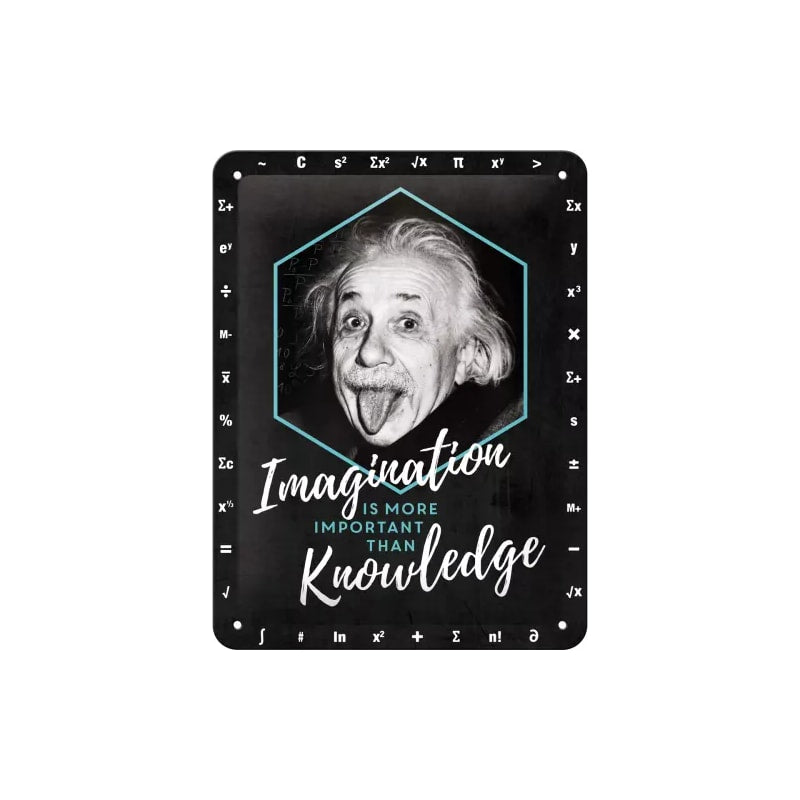 Plakat blaszany 15x20cm Einstein-Imaginat