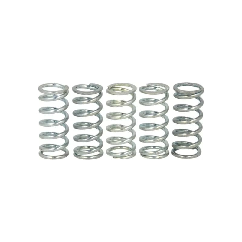 Sprężyny sprzęgła Ferodo FSS0507